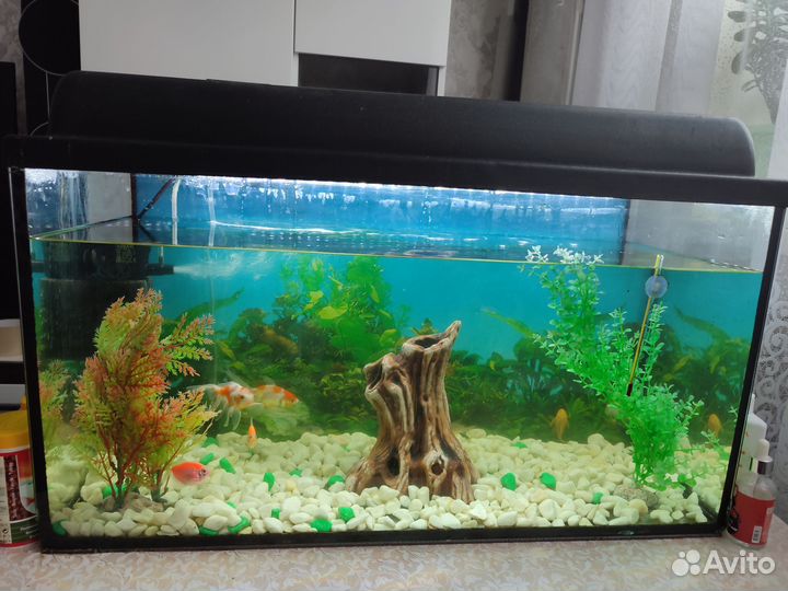 Аквариум 75 л