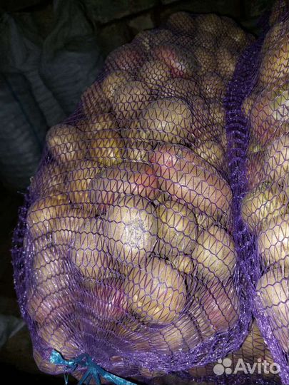 Продам деревенский картофель с доставкой