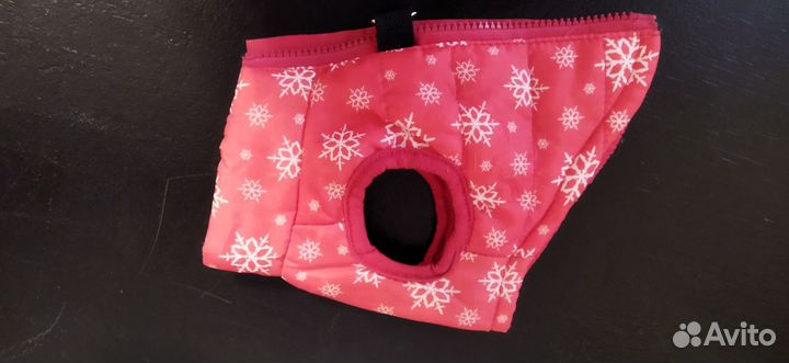 Одежда для маленьких собак, кошек