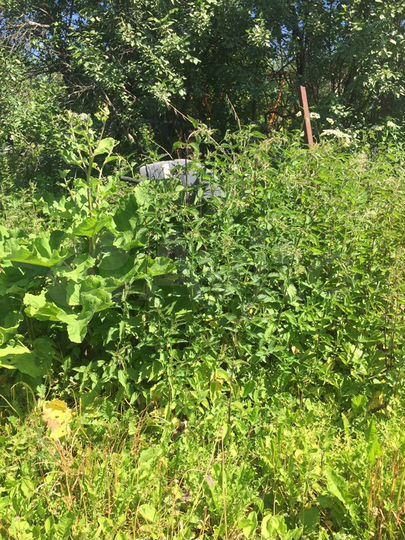 Дом 60 м² на участке 20 сот.