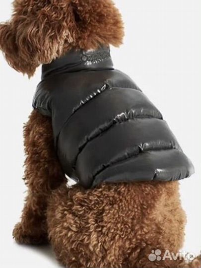 Жилет для собаки cute&cool графит