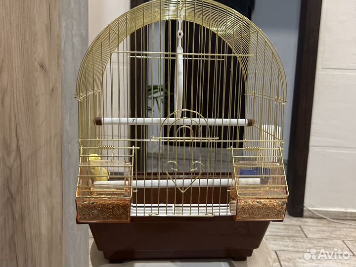 Клетка для попугая