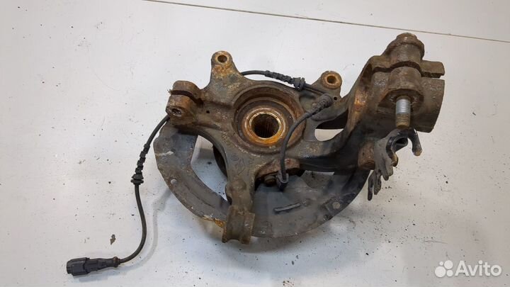 Ступица (кулак, цапфа) Renault Megane 4, 2016