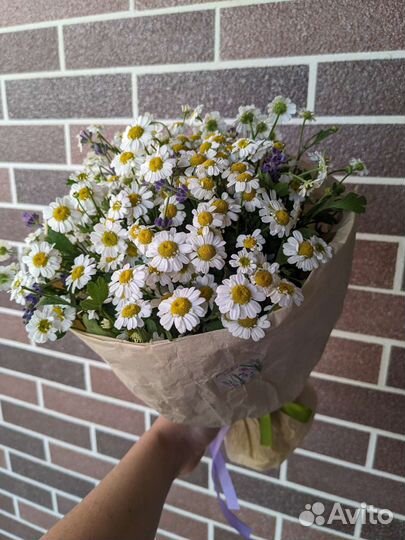 Букет из ромашек в наличии