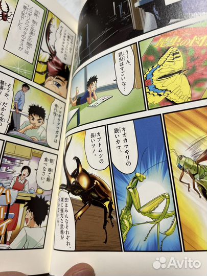 Покемон книга на Японском языке