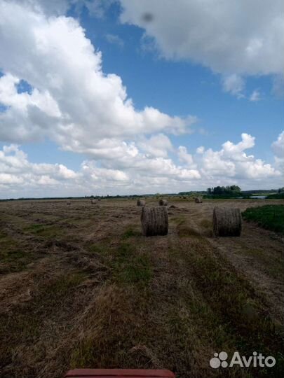 Продам сено в рулонах