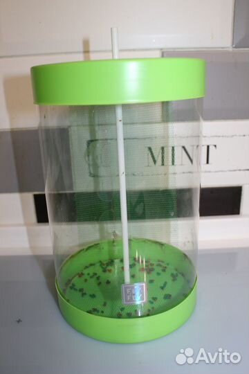 Бабочкарий