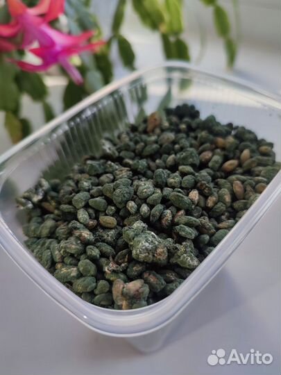 Живая триходерма(0,5л)