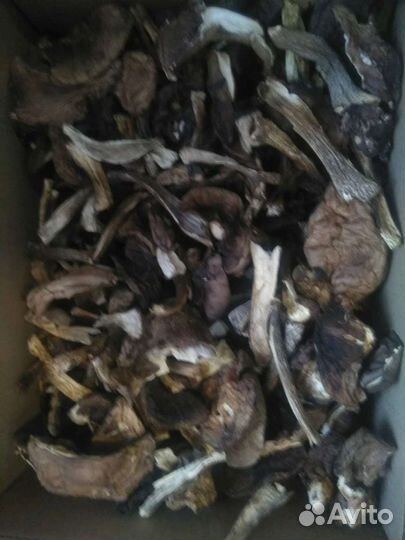 Сушеные грибы