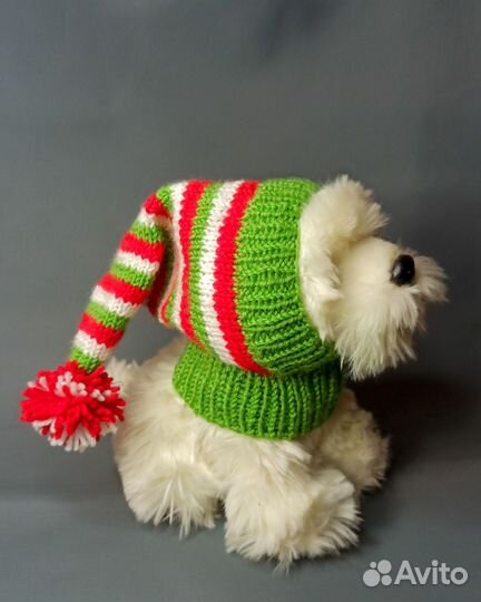 Шапка для собак мелких пород