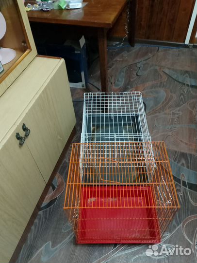Клетка для морской свинки, хомяка