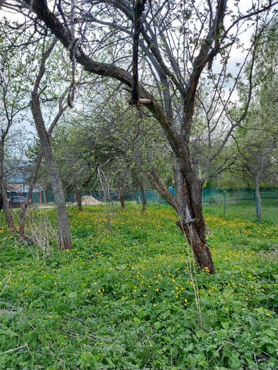 Дом 10 м² на участке 15 сот.