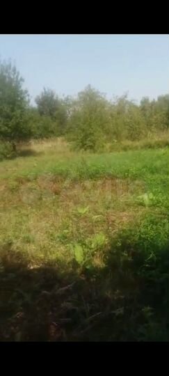 Участок 6 сот. (СНТ, ДНП)