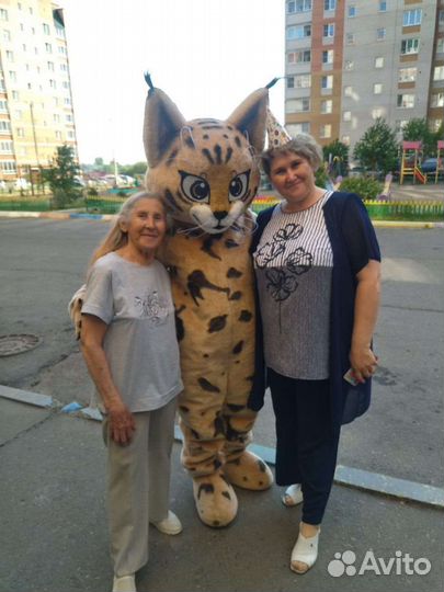 Ростовая кукла аниматор котёнок 