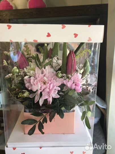 Бабочкарий из живых цветов