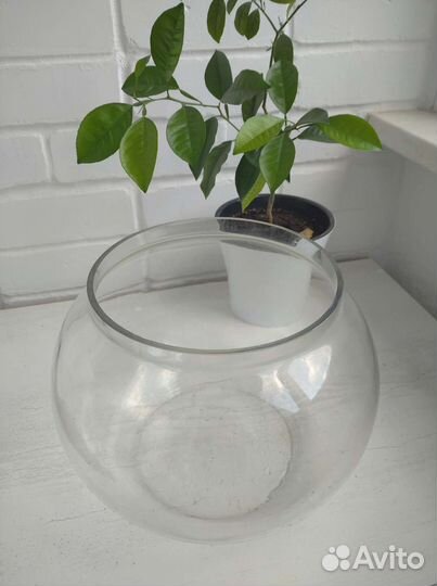 Аквариум круглый