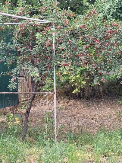 Дом 48 м² на участке 17 сот.