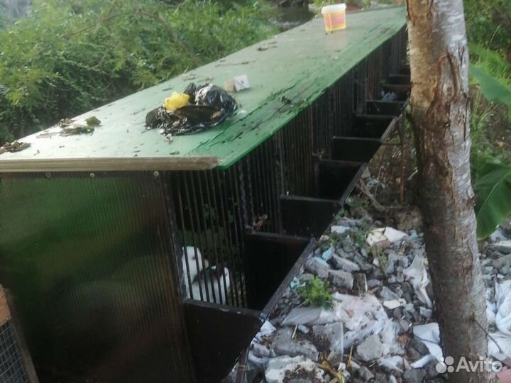 Клетка с кроликами