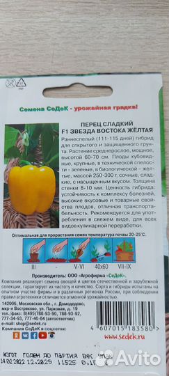 Рассада перца