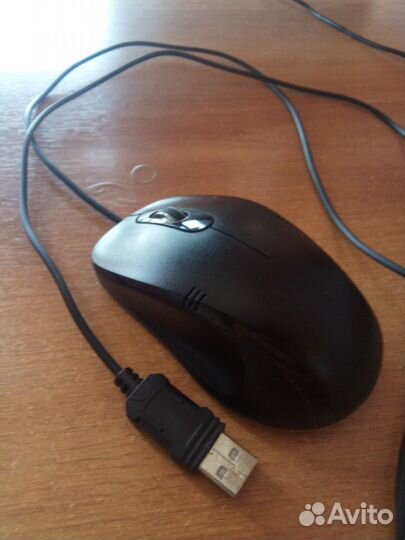 Мышь