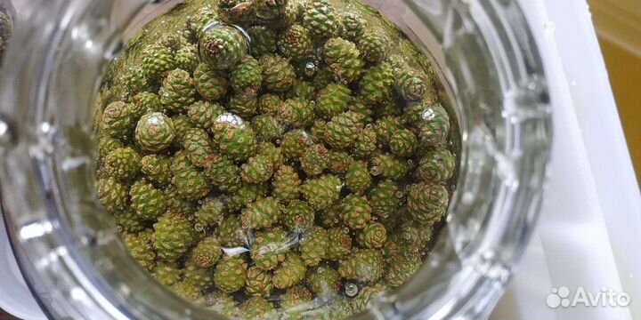 Эликсир здоровья N 2