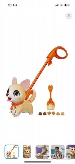 Щенок питомец с поводком