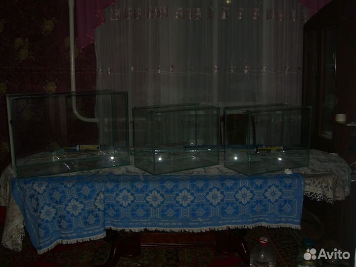 Новый аквариум