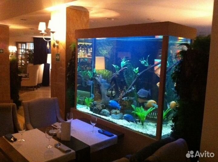 Морской аквариум, пресный аквариум -сервис,услуги