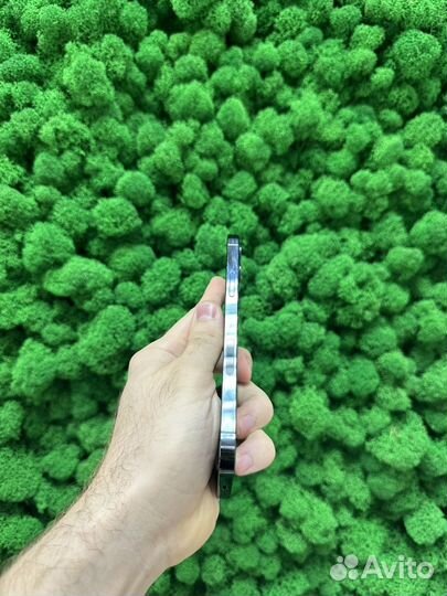 iPhone 12 Pro, 256 ГБ