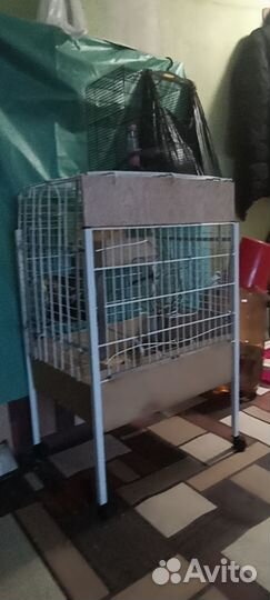 Клетка для грызунов очень большая