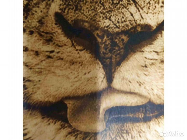 Картина Лев выжигание на дереве