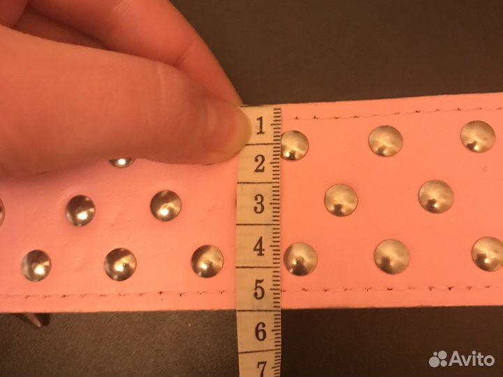 Ошейник для собак