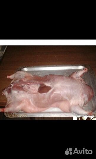 Мясо нутрии опт и розница