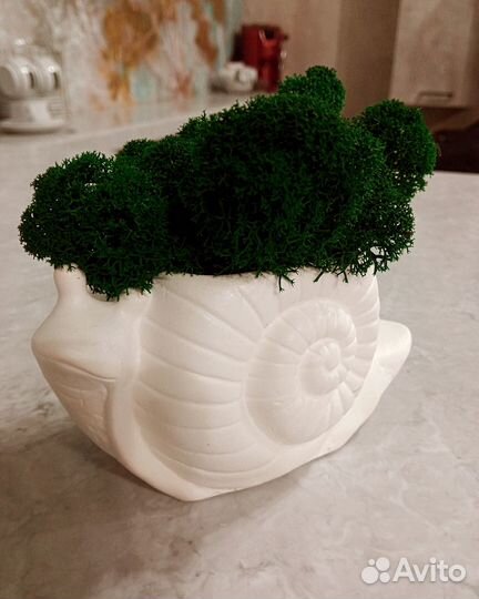 Кашпо Улитка