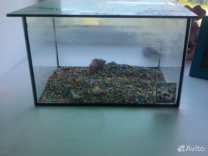 Аквариум 10л