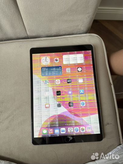 iPad