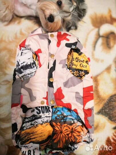 Одежда для собак