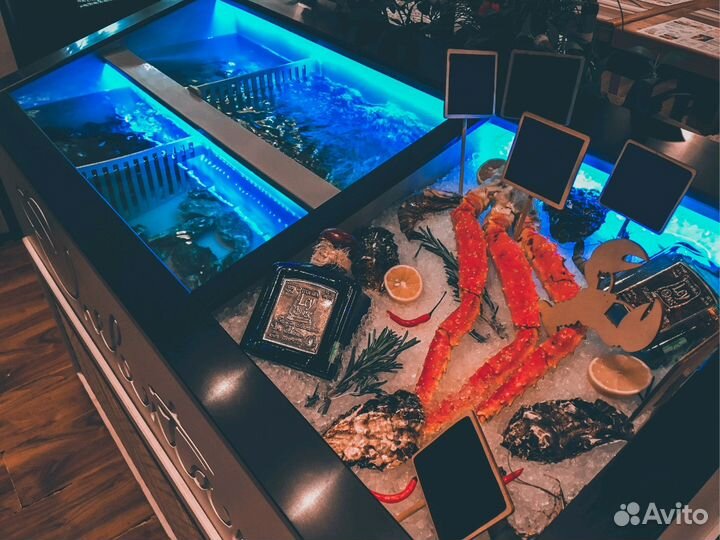 Аквариумы от 100 литров до 3 тонн