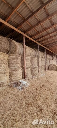 Продам сено в рулонах