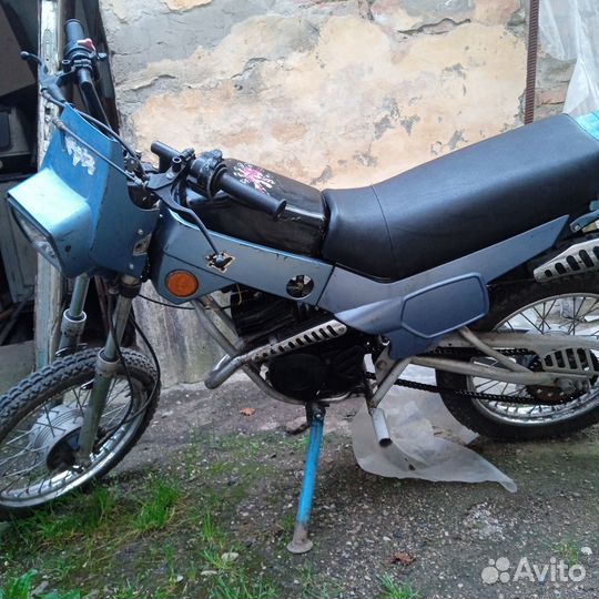 Зид пилот 50