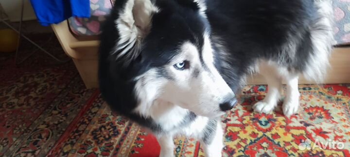 Кабель для вязки