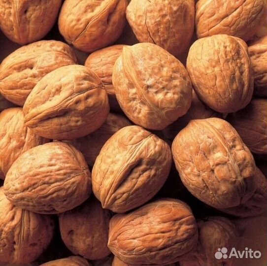 Грецкий орех в скорлупе того года