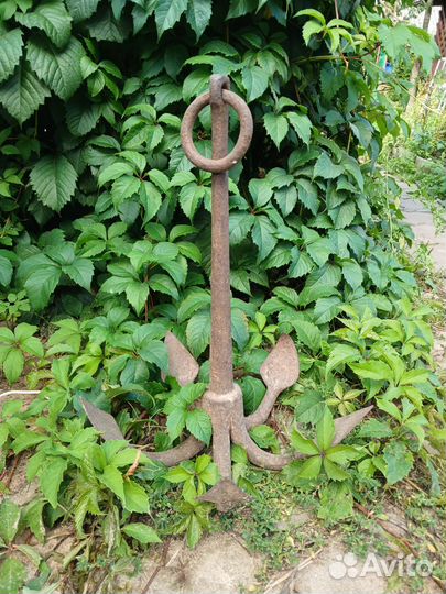 Якорь речной