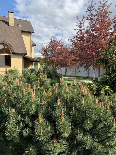 Дом 260 м² на участке 12 сот.