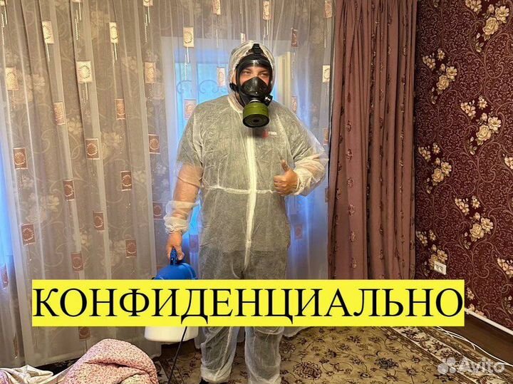 Дезинфекция от тараканов