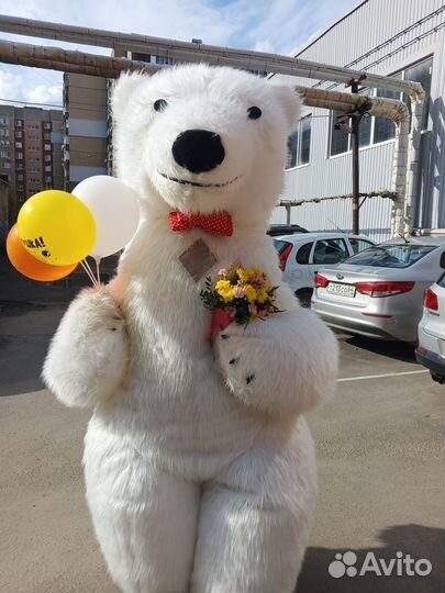 Ростовые куклы Энгельс/Саратов