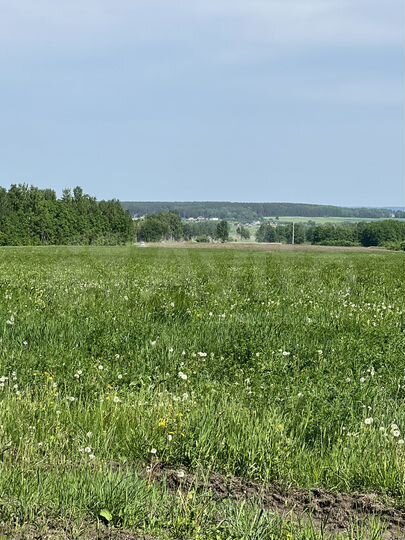 Участок 10 га (СНТ, ДНП)