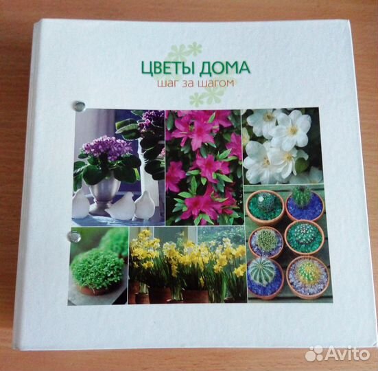 Энциклопедия