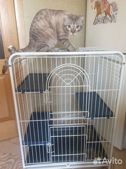 Клетка для грызунов