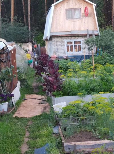 Участок 4 сот. (СНТ, ДНП)